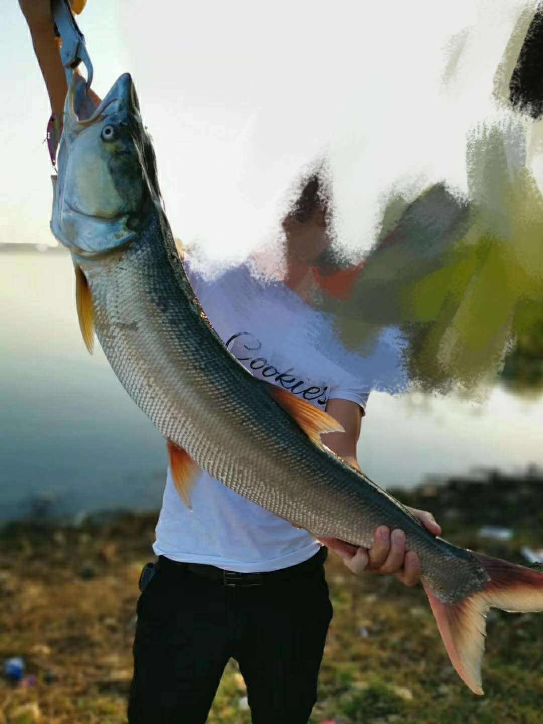 進入仲夏魚難釣?帶上怒鯊去暴扣鱤魚吧