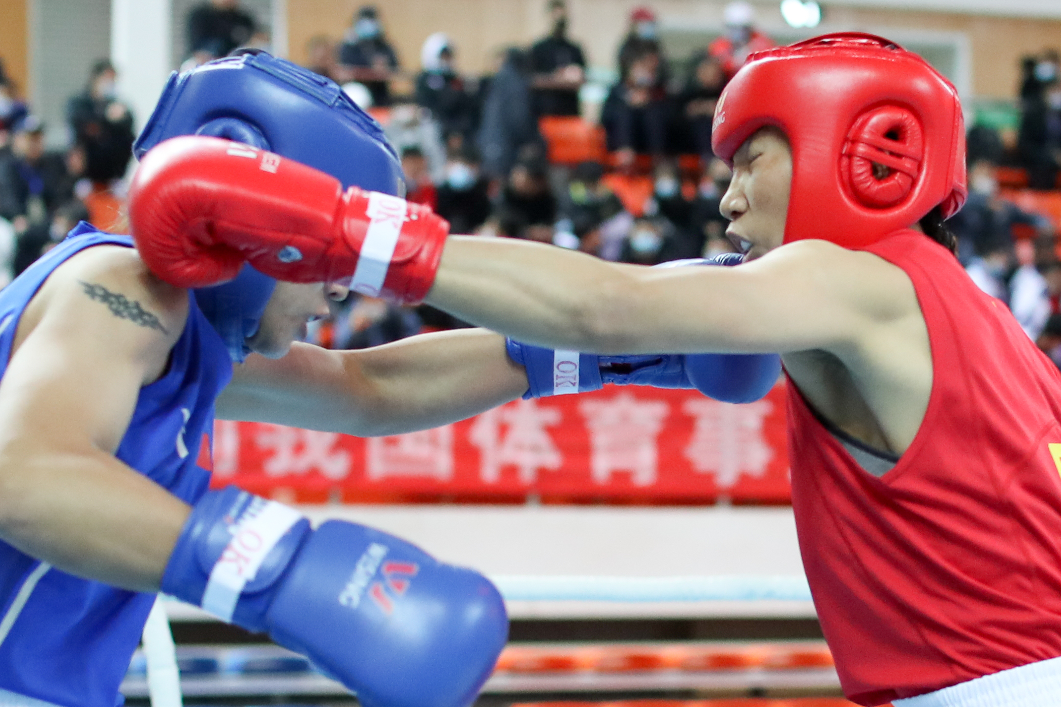 拳击——全国女子锦标赛:杨柳进入决赛