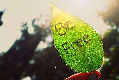 佳莱创始人熊银河:遇见更好的自己