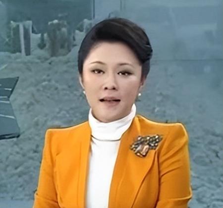 二,低调央视主持人紫凝