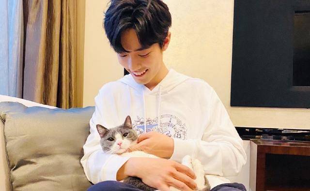 明星养猫谁家强?肖战同款"坚果",你和谁拥有同款?