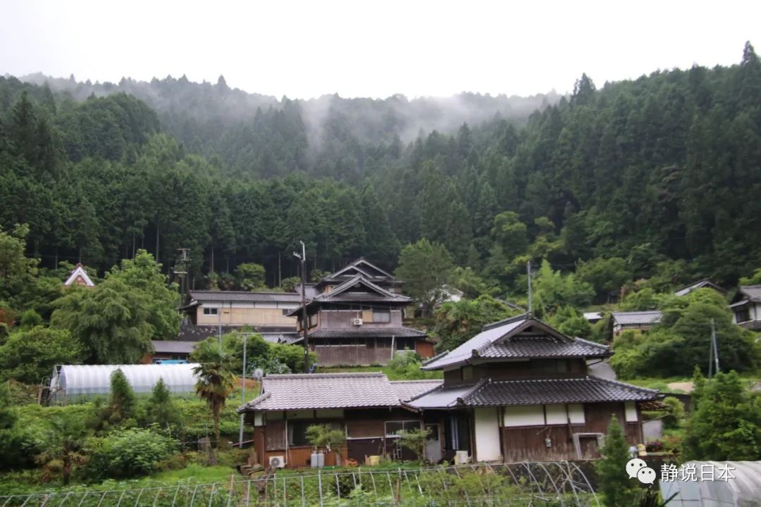 日本農村的房子為何比城裡還漂亮