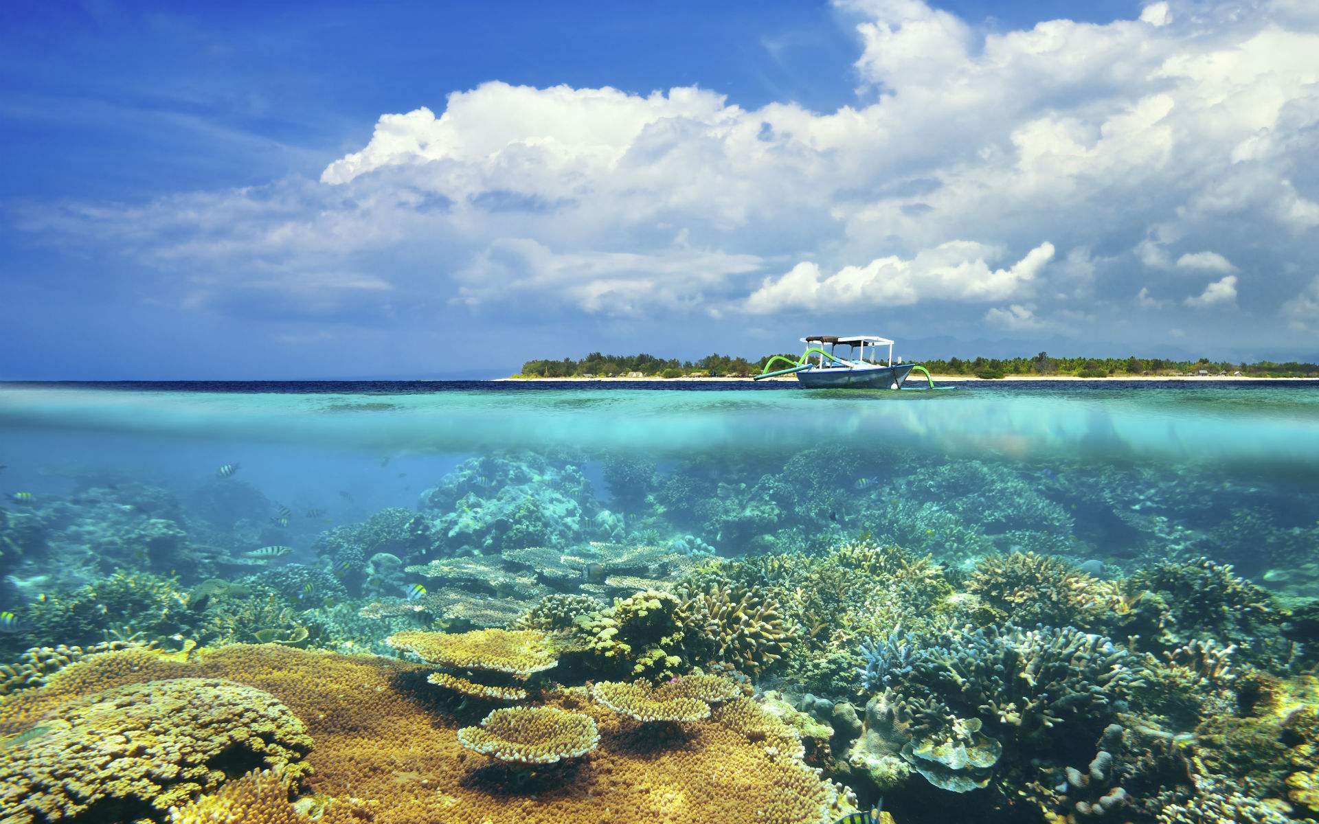 澳大利亚大堡礁壁纸图片