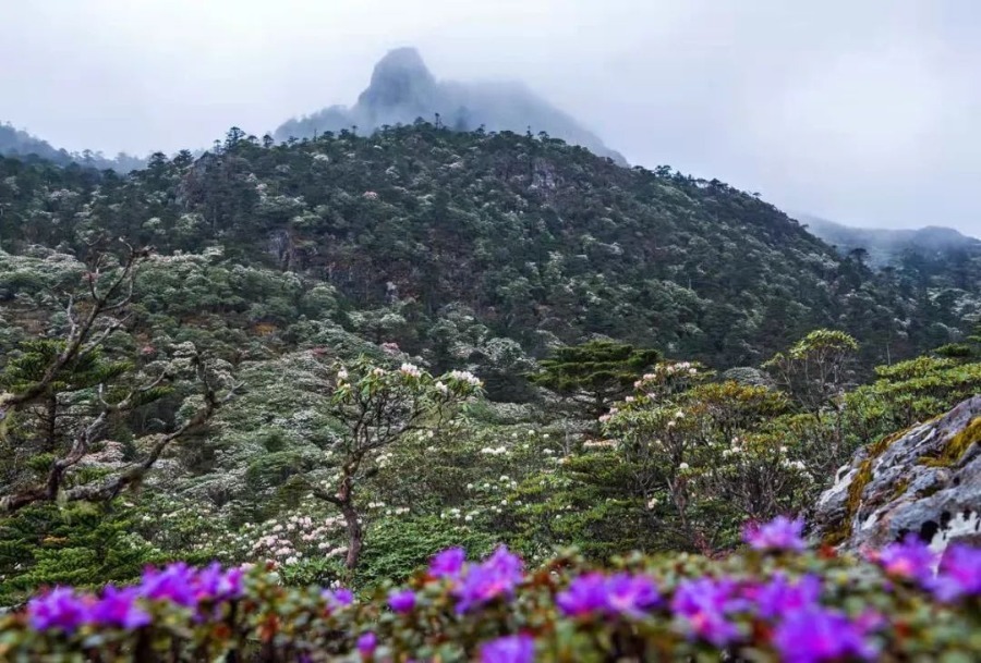 剑川老君山地图图片