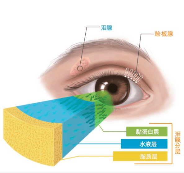 中国护眼蓝海市场渐热,英国女王奖的the eye doctor强势入局