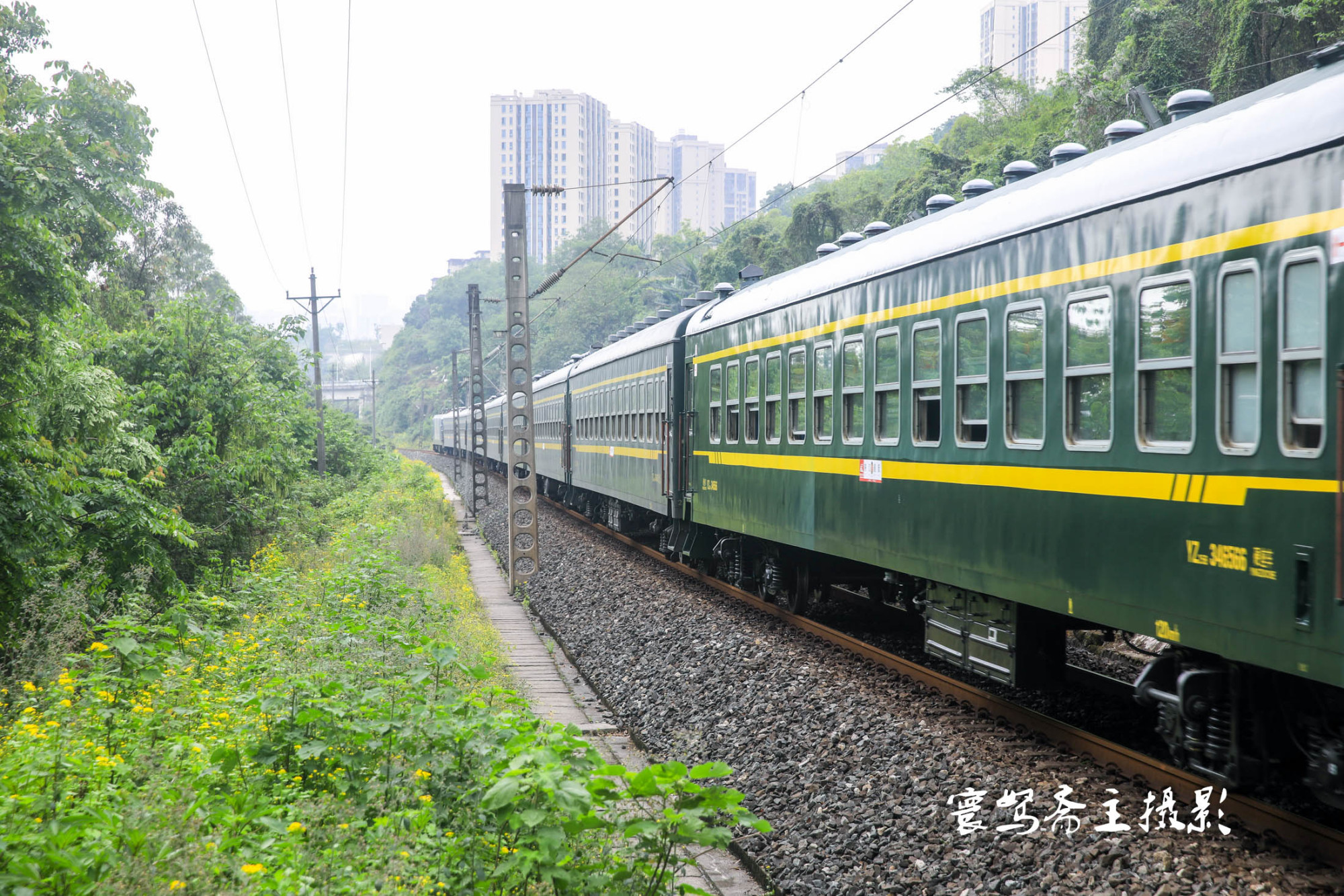 尋找重慶綠皮火車拍攝點之三竹林灣因為花海列車而聞名的地方