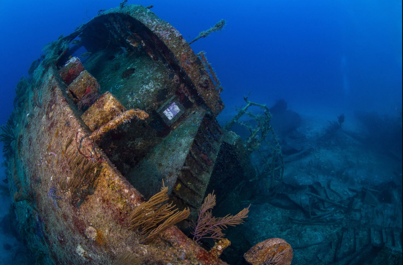 盘点海底的古沉船价值600亿美金宝藏埋葬海底残骸遍布