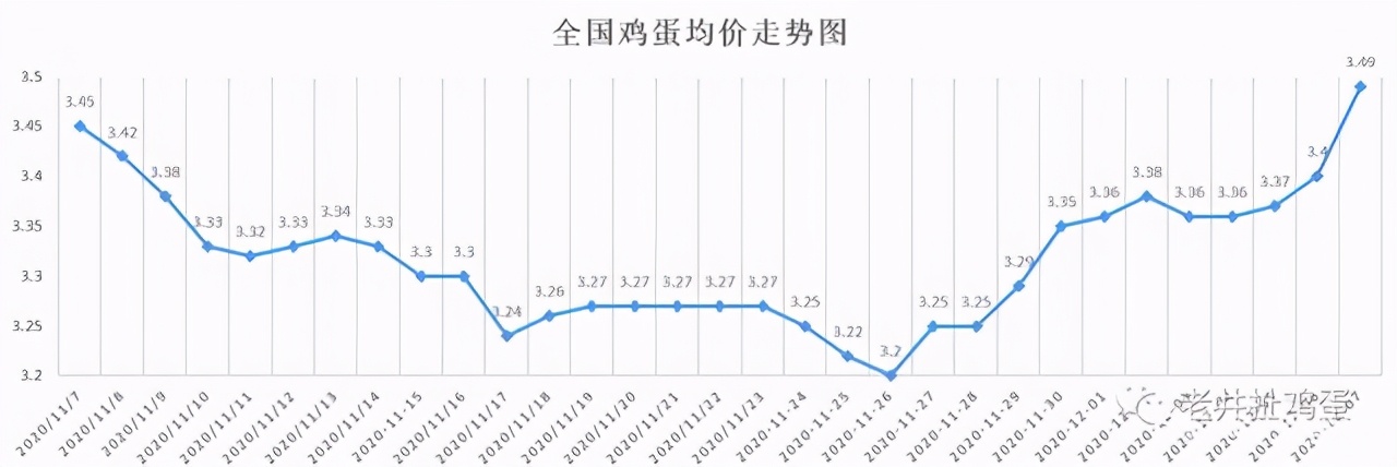 鸡蛋价格涨到新高!根本原因到底在哪儿?