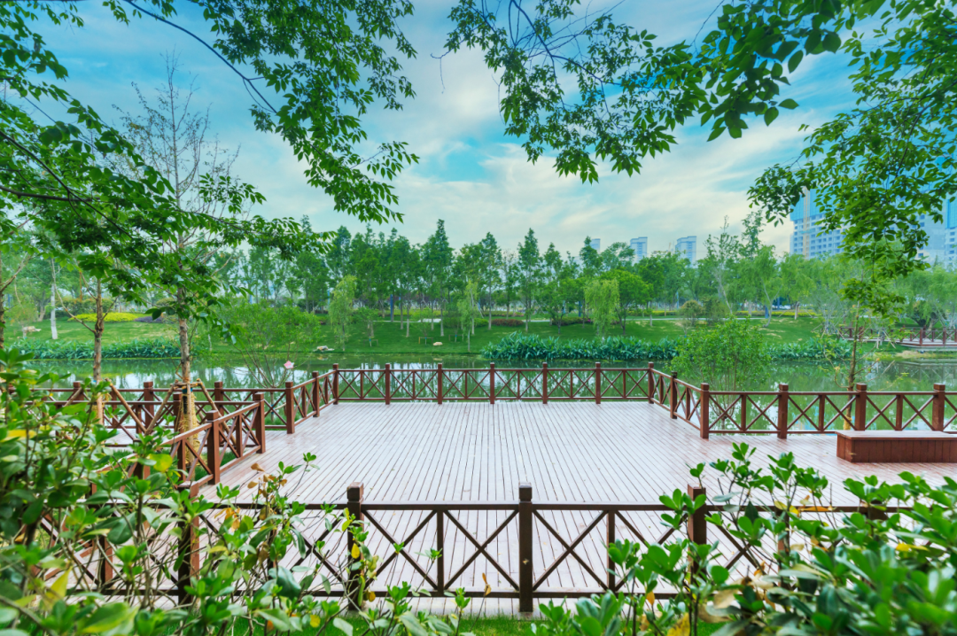 泗洪新城中央公园|深度精研人居体验,打造理想生活家!