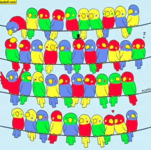 韩国小游戏!4秒找到猫咪说明你「眼力」很好