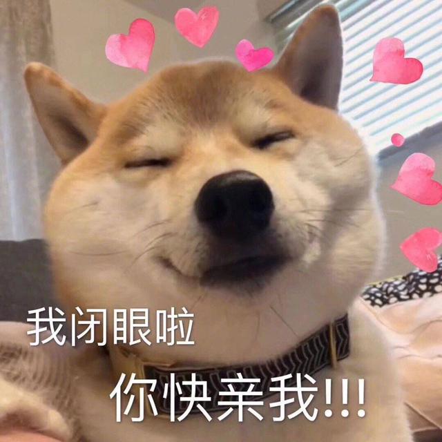 当狗狗很爱你时,它会有这些表现!你家狗也这样吗?