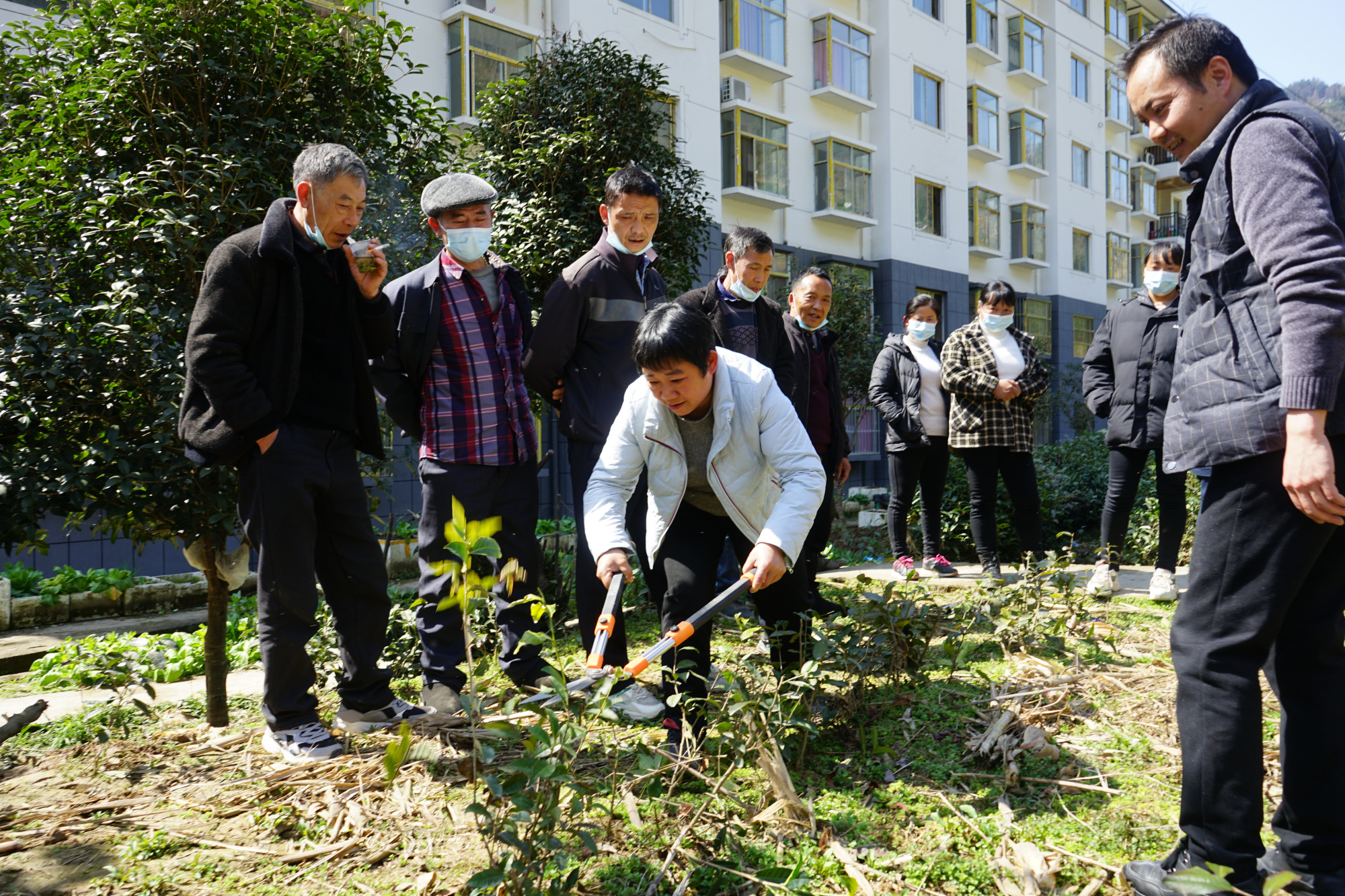 紫阳县红椿镇春季茶叶技术培训掀热潮