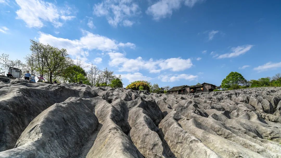 溶洞,天坑,地表石海 徐浩伦|摄 它不仅是四川首家世