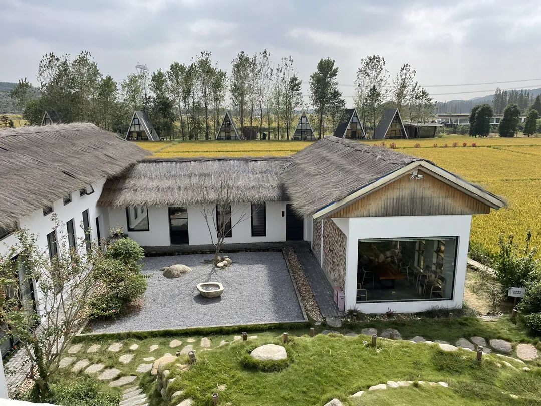 稻香小院整个被稻田包围,感受在稻花香里醒来,早晨被阳光叫醒,在月光