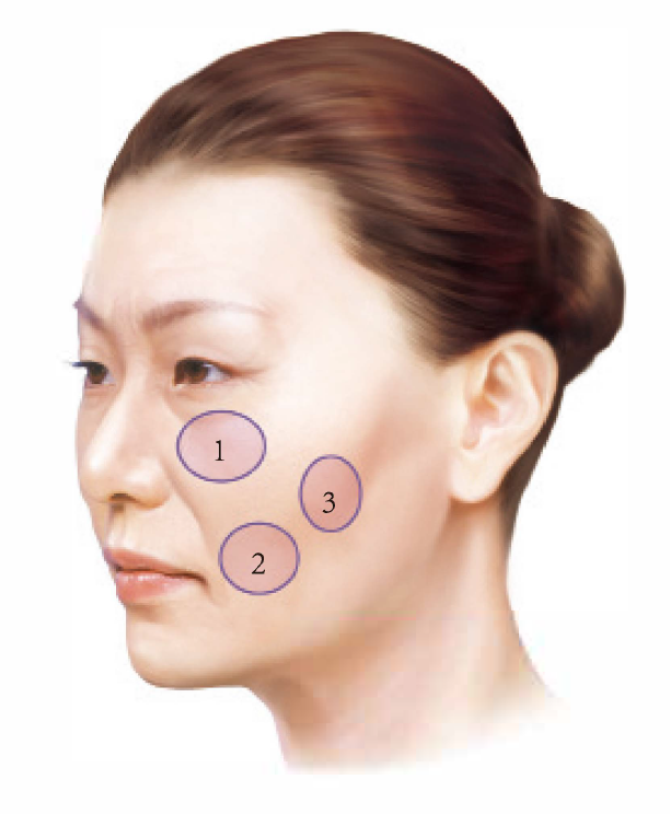 颊部在哪个位置图片图片