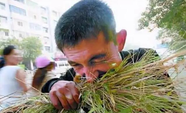 "三峡奇人"龚清孝:独爱吃草34年,还靠吃草娶上漂亮老婆