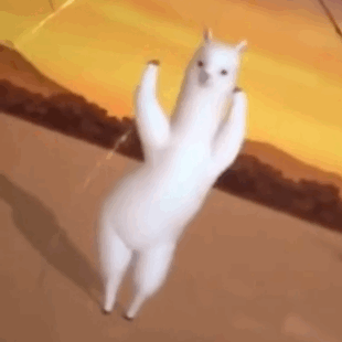 310_310gif 动态图 动图