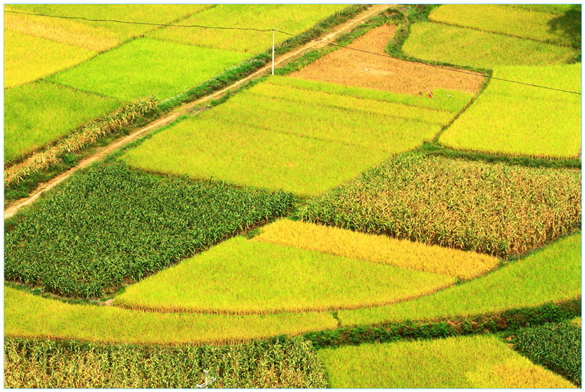 田野的意思 baijiahao.baidu.com