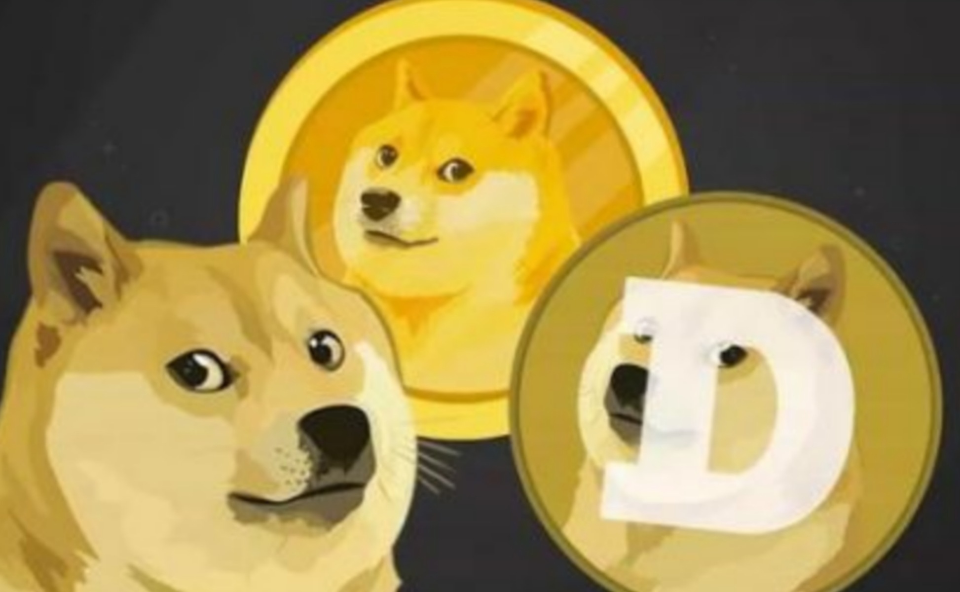 moondoge 助推元宇宙的进一步落地