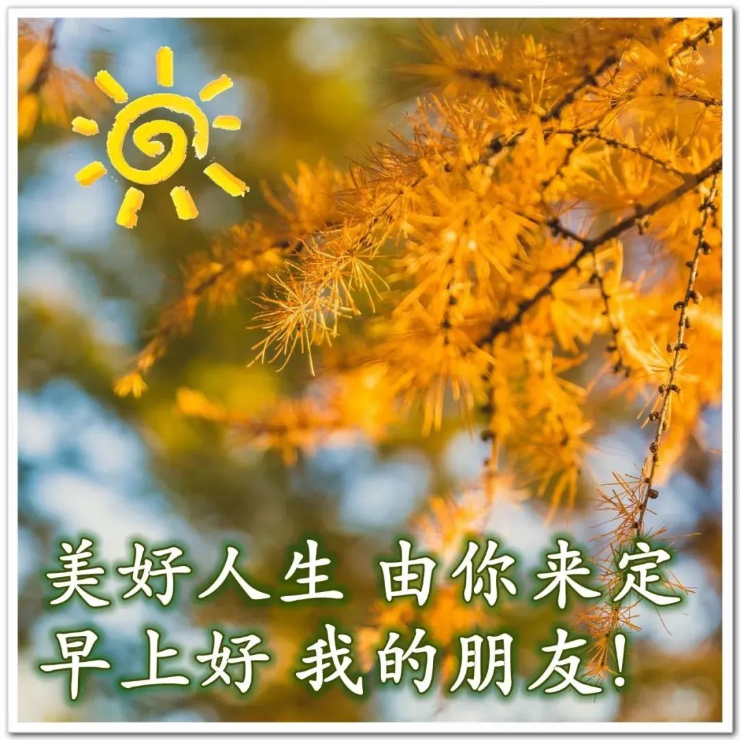 早上好祝福唯美图片带字,微信清晨早上好表情图片