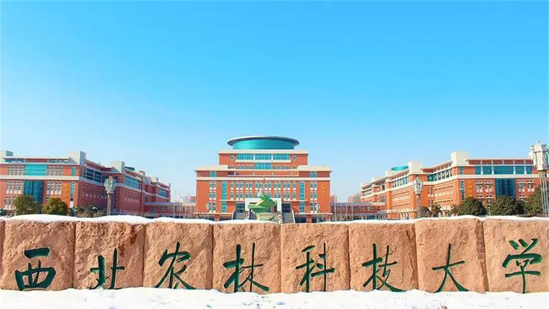 西北农林科技大学地址图片