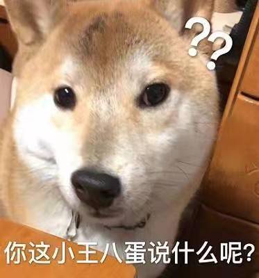 狗狗是很忠诚的,如果认你为主就不会对你凶巴巴的,如果你发现你家狗子