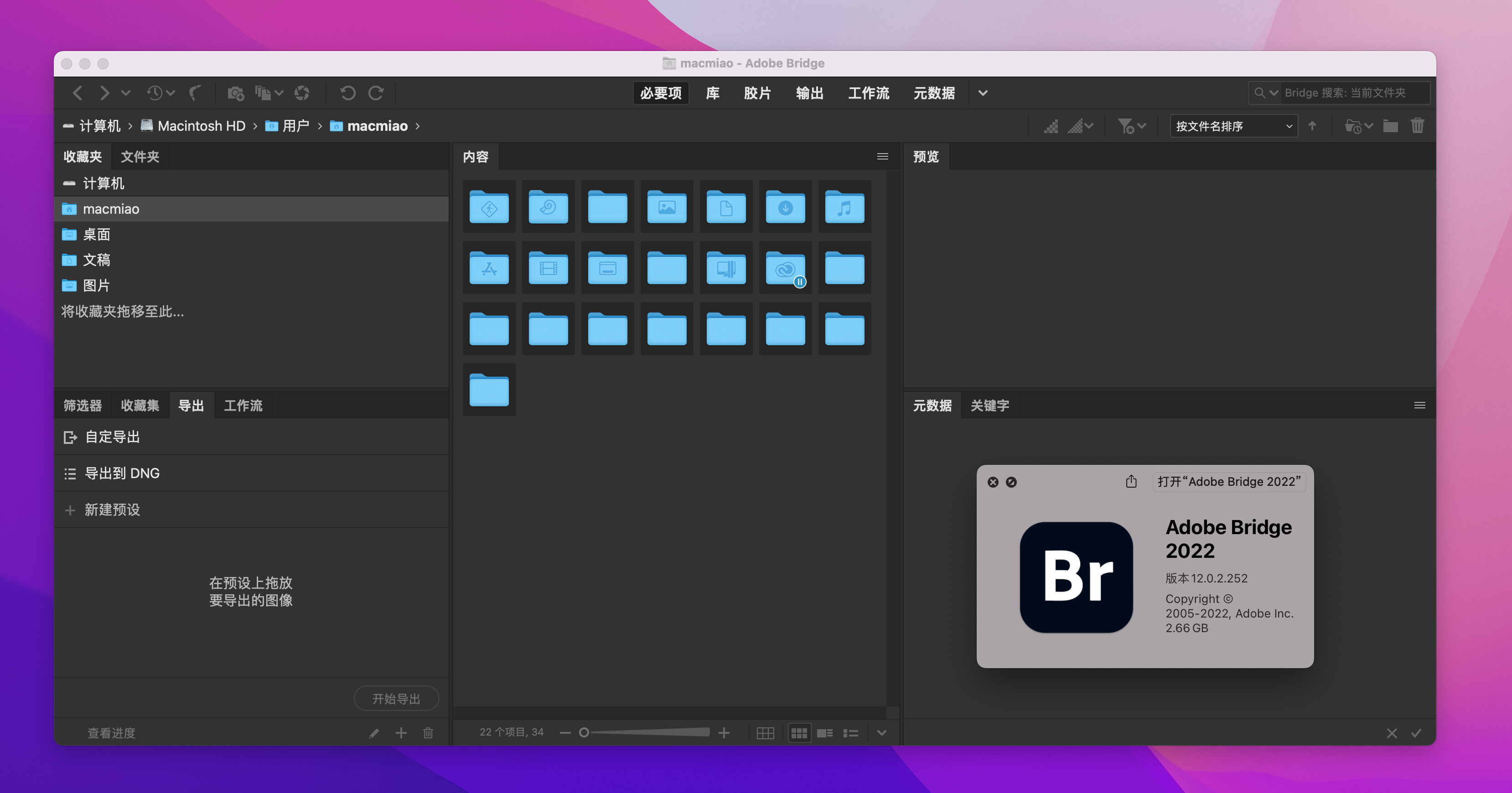 adobe bridge 2023 for mac 苹果电脑 br资源管理软件