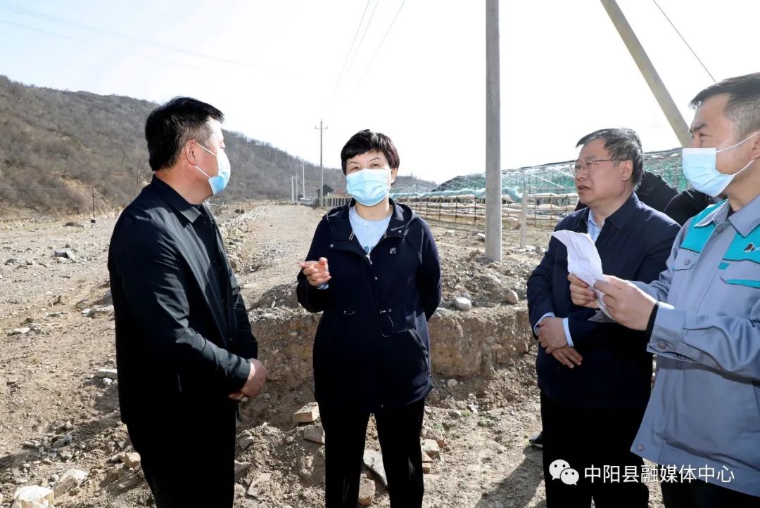 中阳:孙燕飞调研黑木耳产业发展综合体开发项目