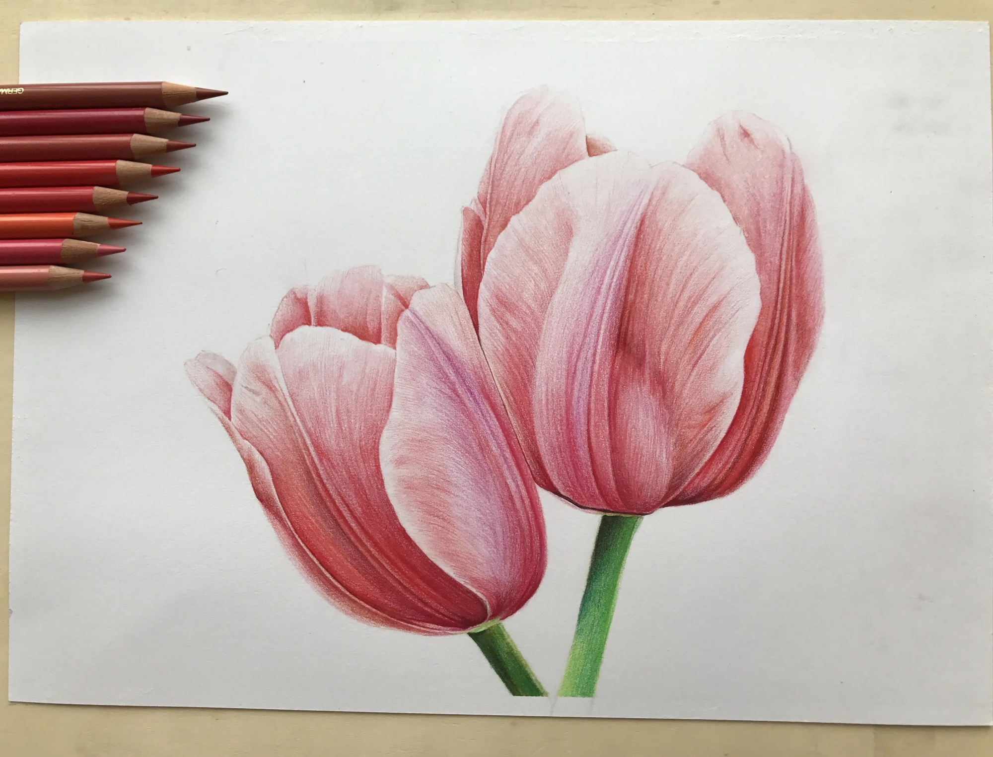 济南磨金石教育技能|彩铅怎么画?初学者不得不知道的入门知识