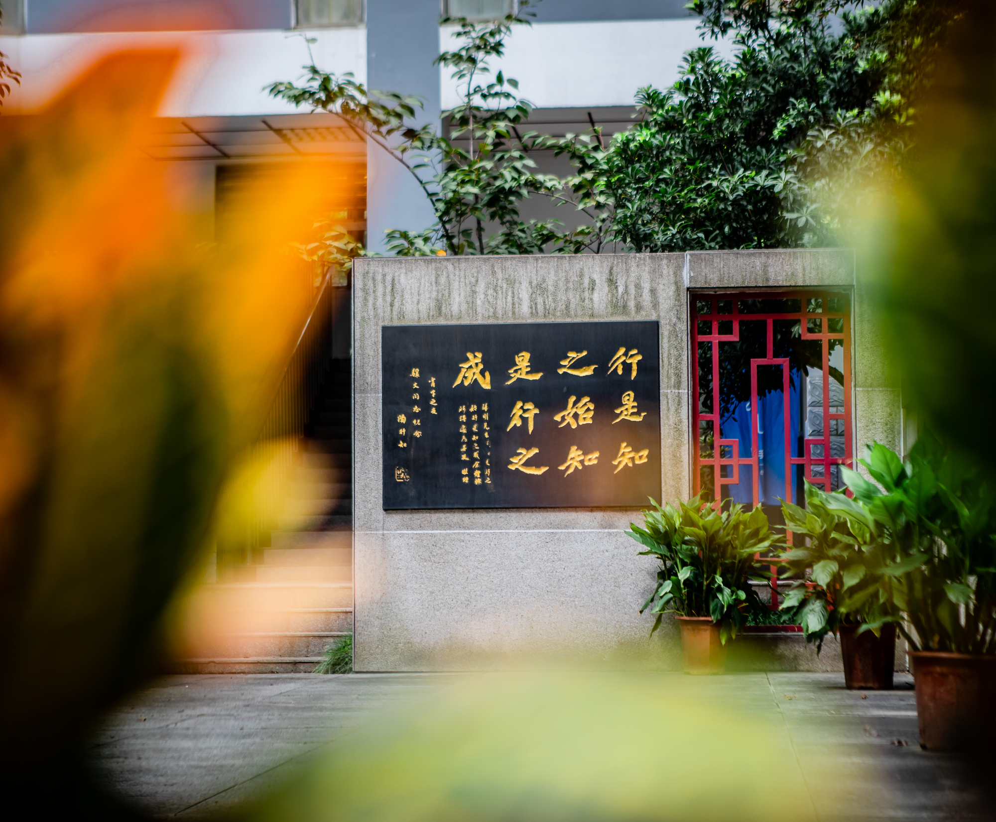 无锡市东林小学百廿华诞校友集结号