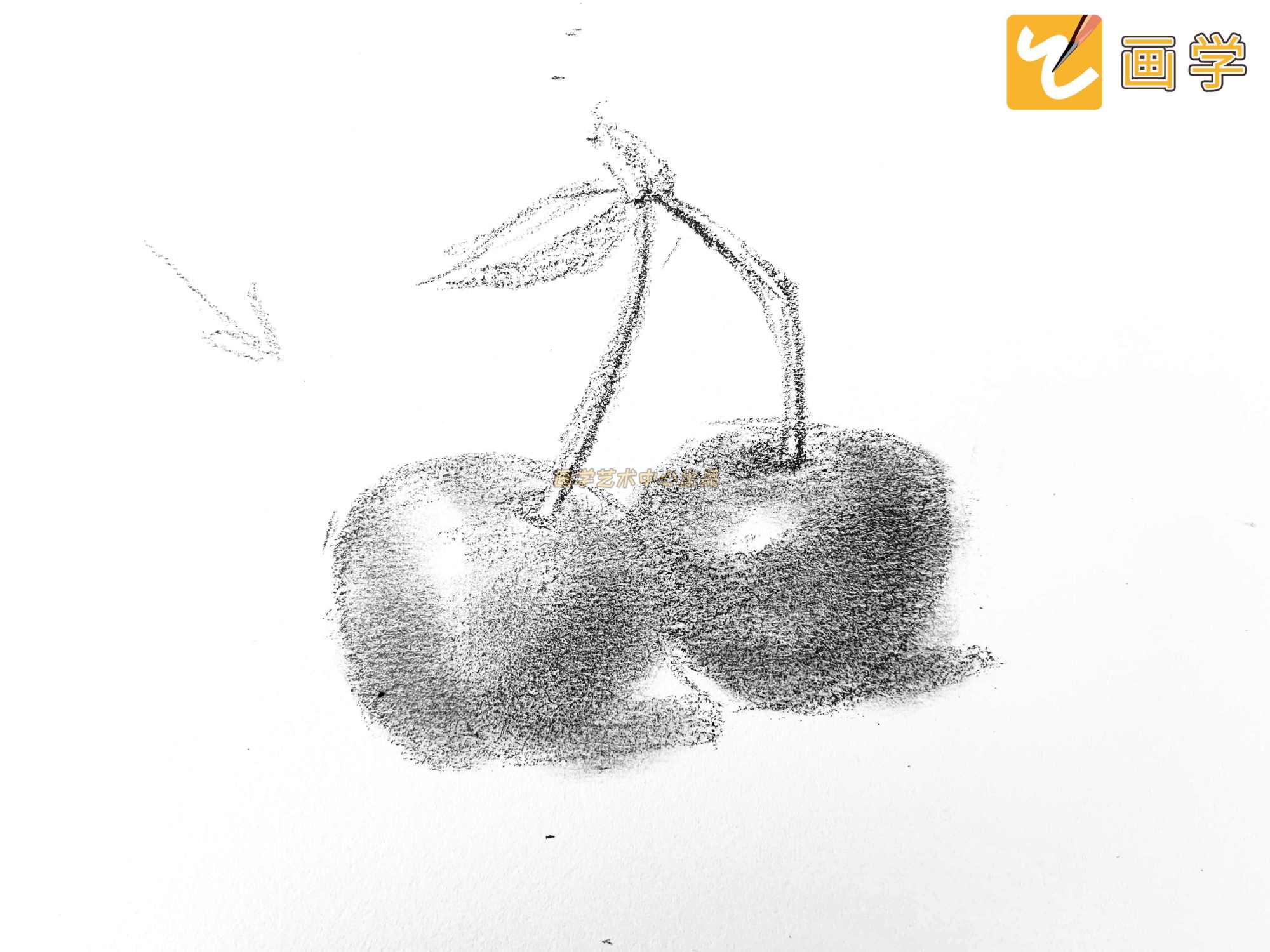 零基础学画画教你画素描樱桃,绘画画
