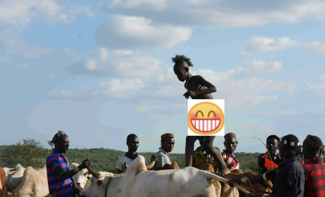 非洲部落奇葩的成人礼,男孩要参加"跳牛仪式"后,才能结婚生子