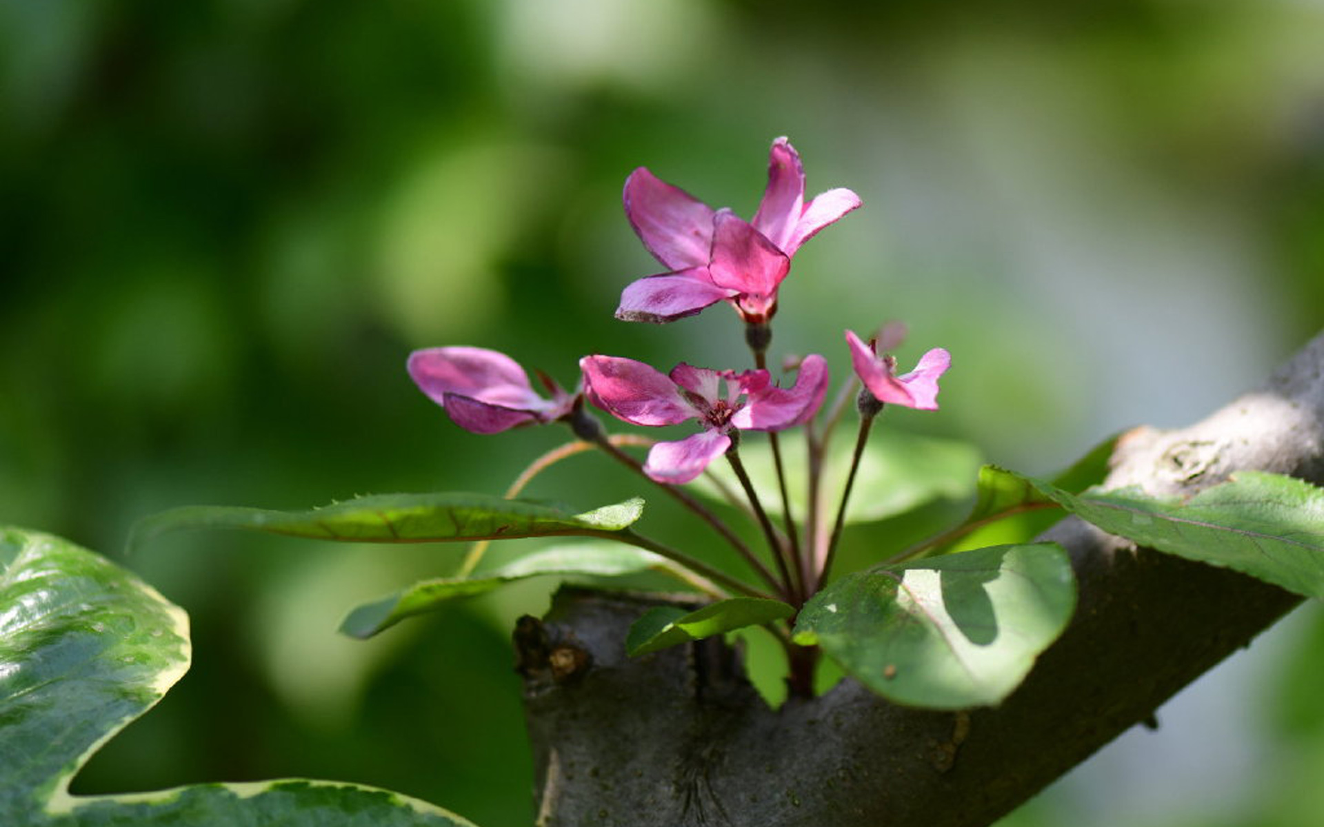 有担当,责任心很强的星座男,只要爱了就会负责到底