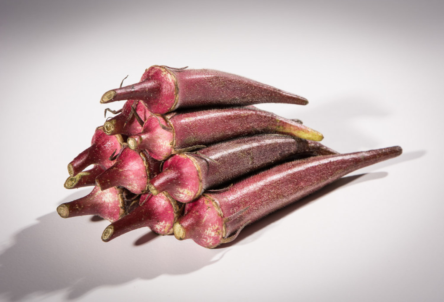 水果秋葵和黄秋葵的区别