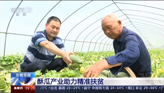 火炎焱燚,咱大淮南的酥瓜火啦!