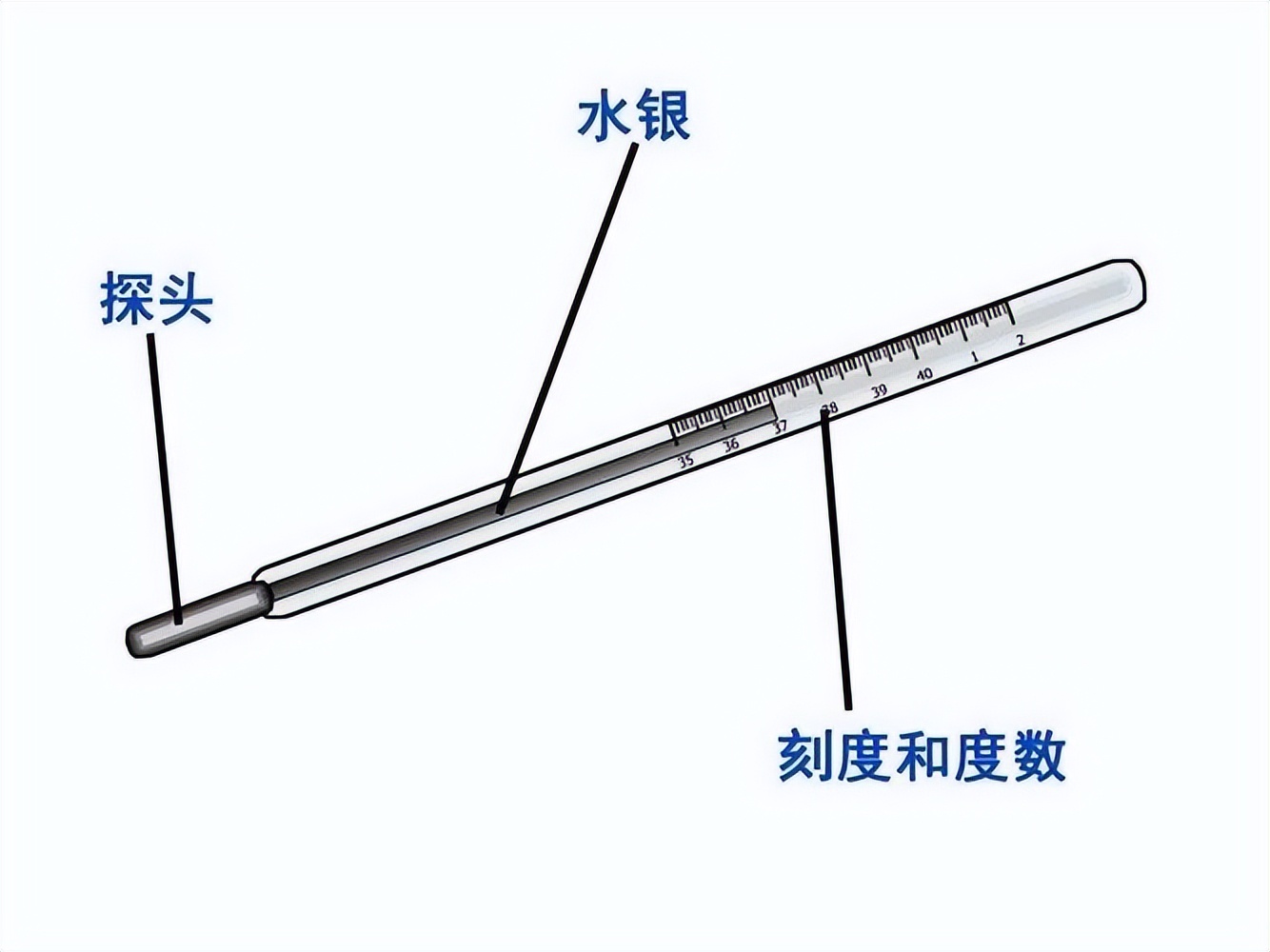 "阳后"水银温度计正确使用方法,需"一甩二夹三扭",学起来!