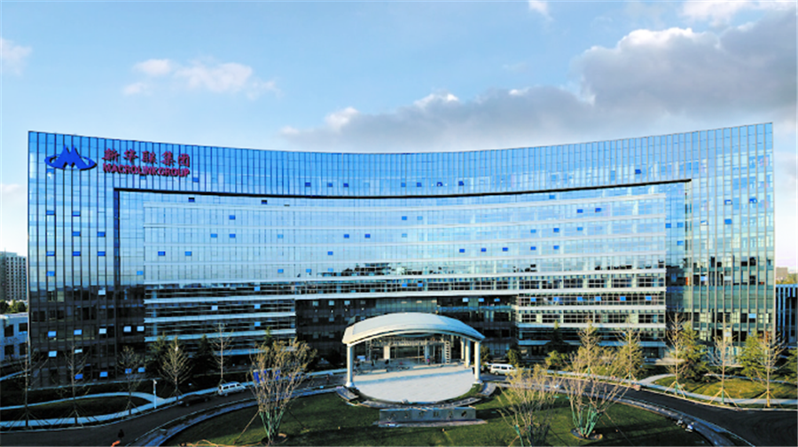 湖南名企新华联:年营收曾达1055亿,现却落得亏钱又欠债,为何?