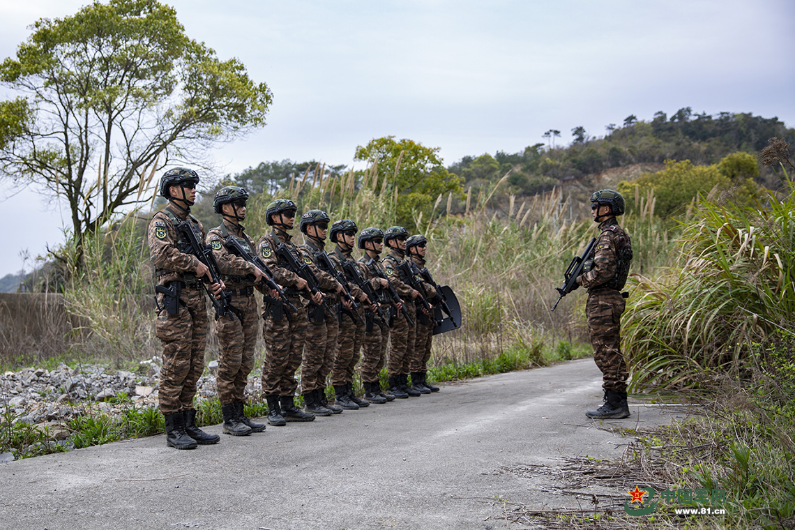 浙江武警图片图片