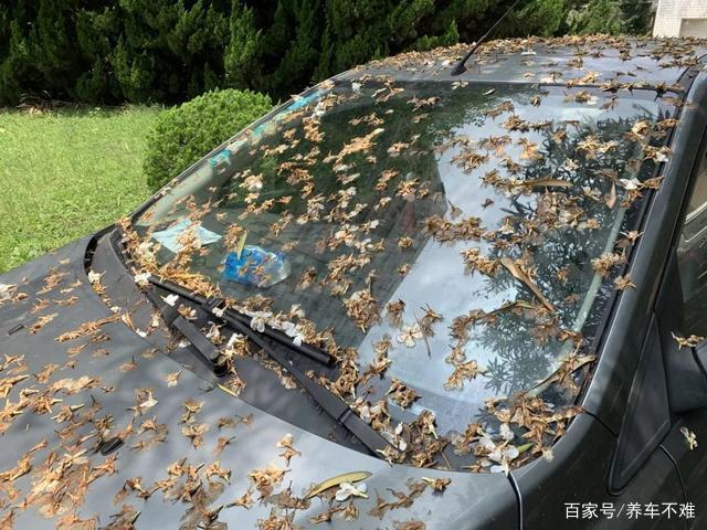 暴晒酸雨会伤车?它会让汽车更快老化龟裂,很多人却忽略了