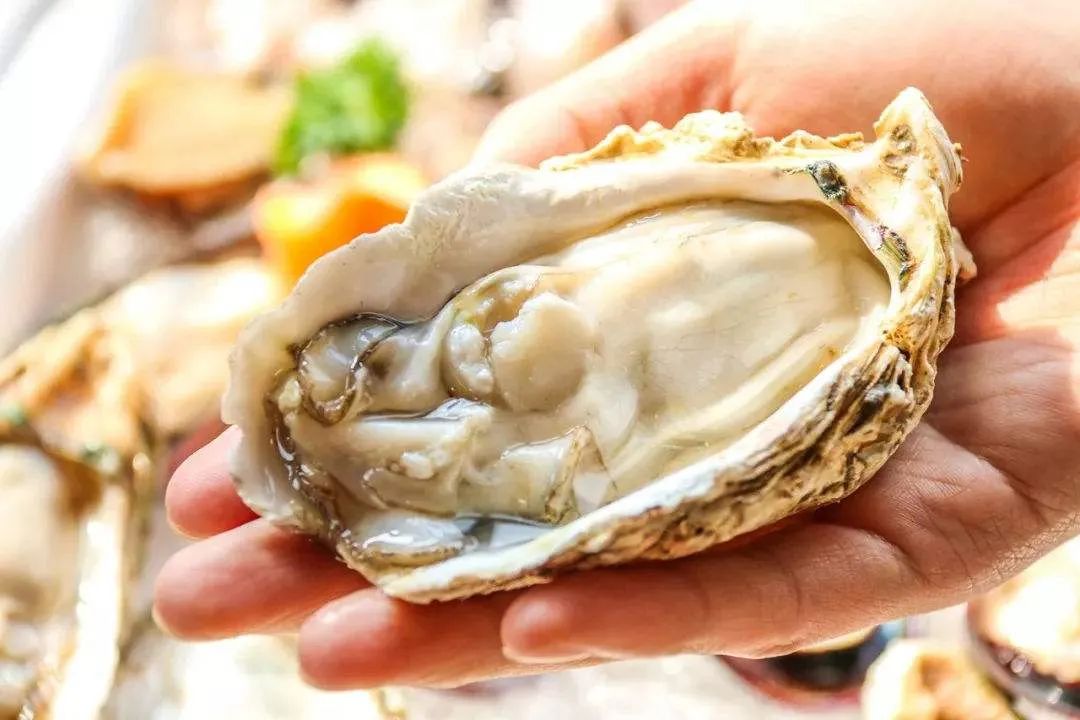 生蚝的好处和功效与作用生蚝的做法蒸几分钟