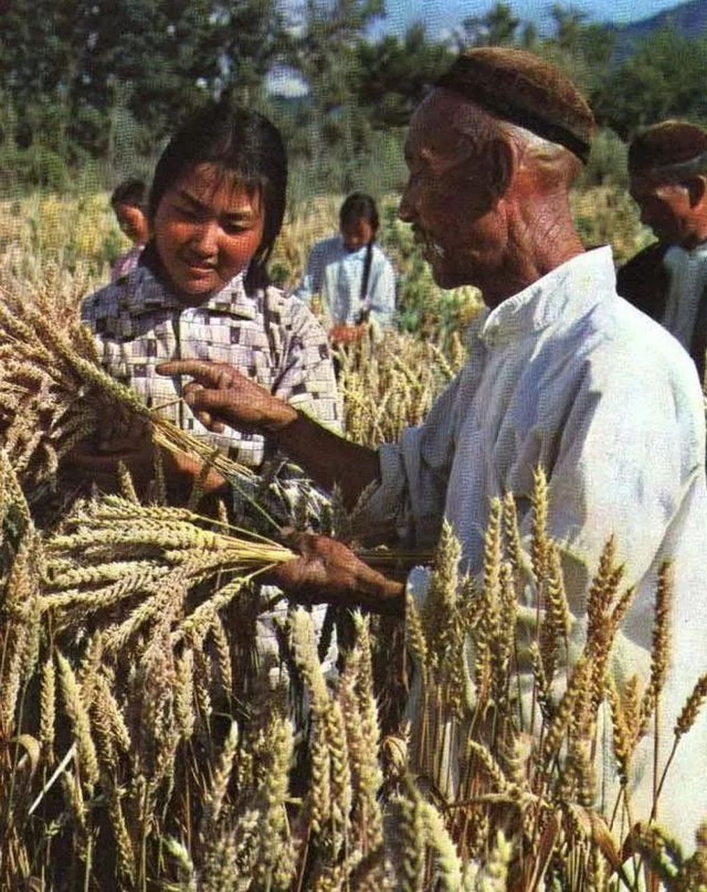 這組60年代知青下鄉農村生活的珍貴罕見彩色老照片,記錄了那個時代