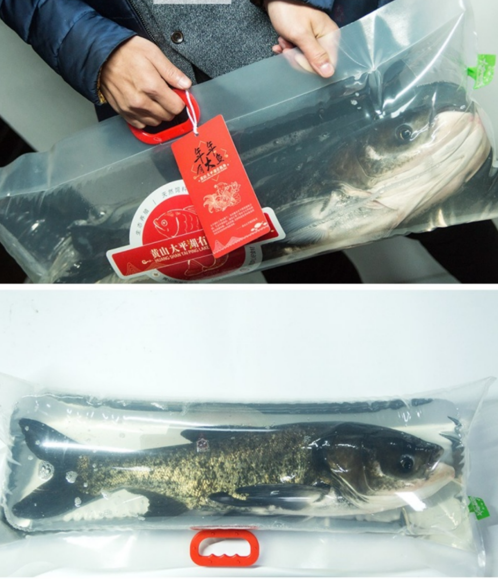 好山好水出好鱼 让人吃不够的黄山太平湖有机鱼