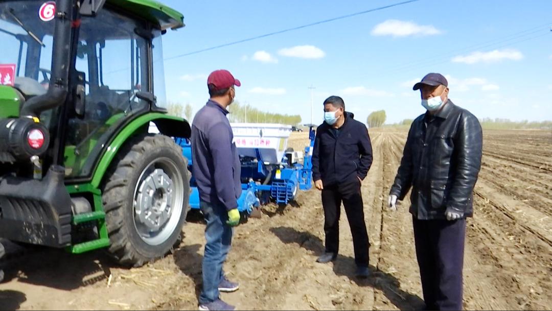【春耕生产】扶余市三井子镇新景村国义农民专业合作社规模种田 春播