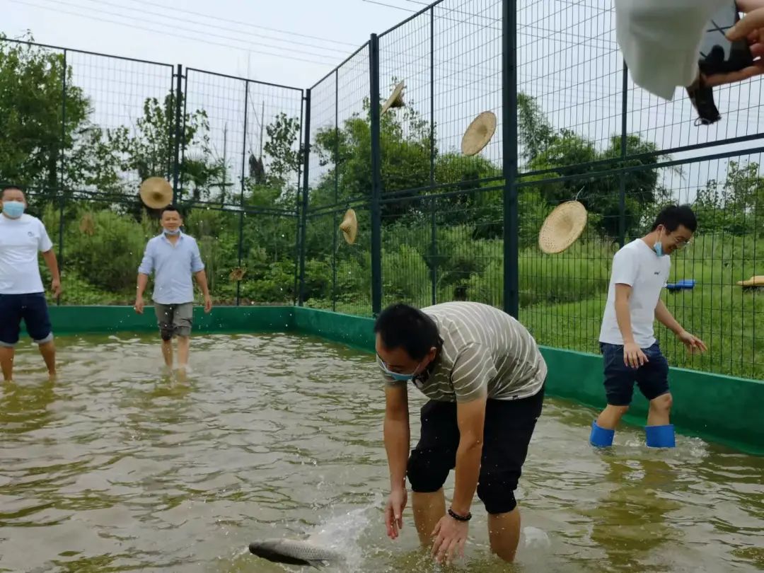 门票大派送|2023蔚然花海浪漫赏花季 花海花样捕鱼季同时开启!