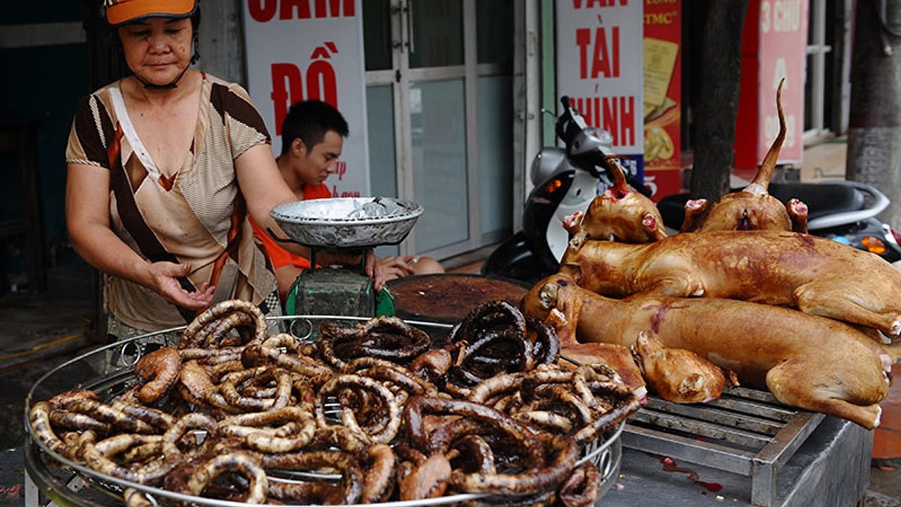 吃猫上瘾!越南人每年消耗400万只猫,罪魁祸首竟是美国!