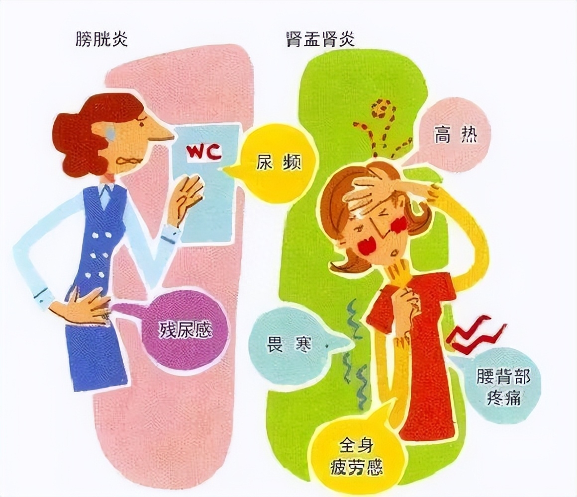 女的尿路感染要问哪个科（女性尿路感染应看什么科室） 女的尿路感染要问哪个科（女性尿路感染应看什么科室）《女性尿路感染到医院看什么科》 女科知识