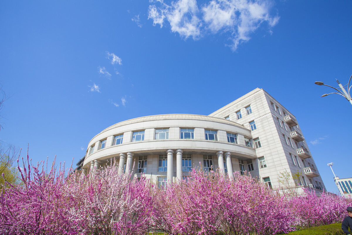 建筑高校集团的先行者——建筑老八校(2)