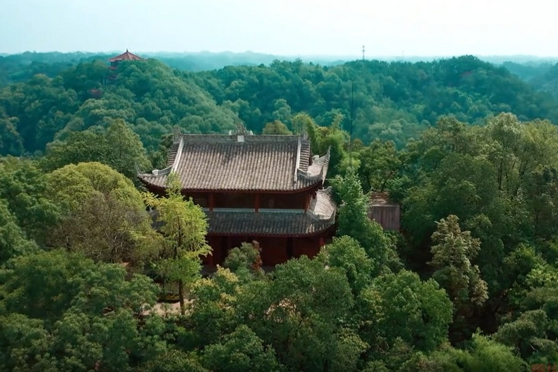 乐山,古称嘉州,今朝的美食与文化之城,三江在此交汇