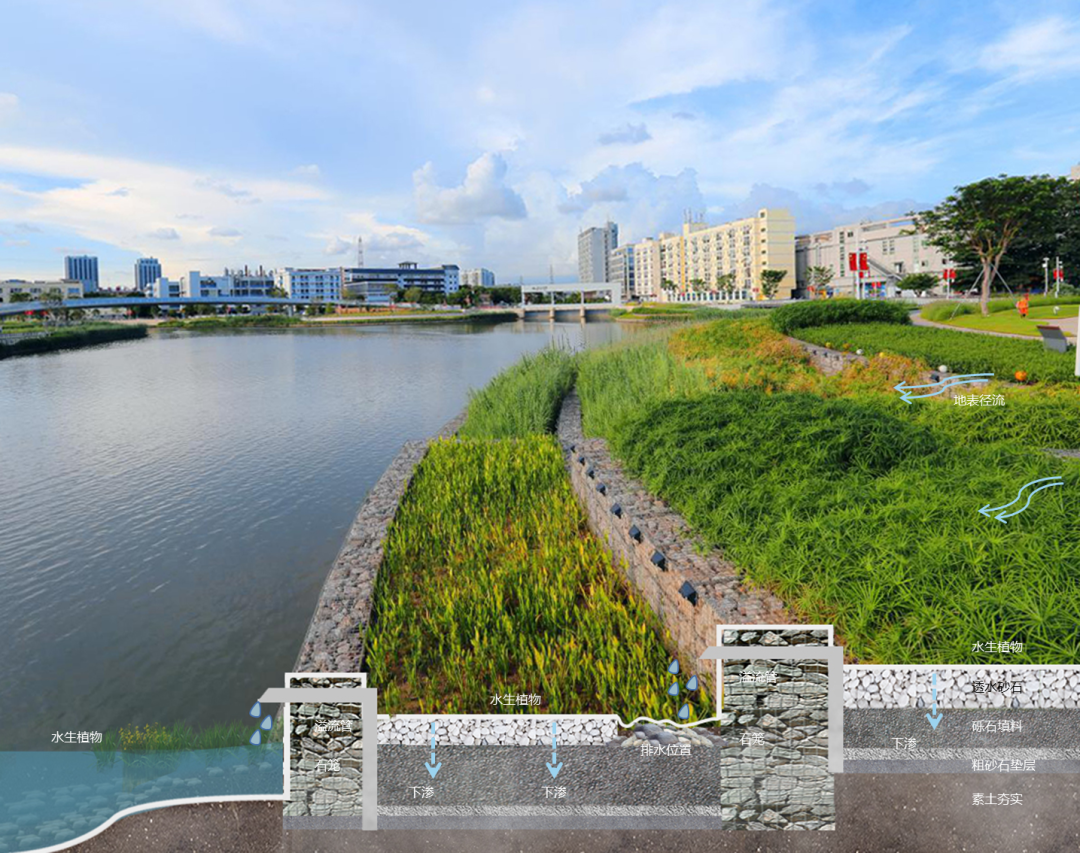 深圳蠔鄉湖公園丨正和生態塑造彈性再生的河口水岸