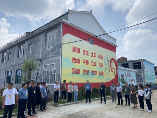 泗县草沟镇组织人大代表调研生态环境整治工作